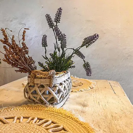 La Casa Della Lavanda Lägenhet Castelvecchio di Rocca Barbena